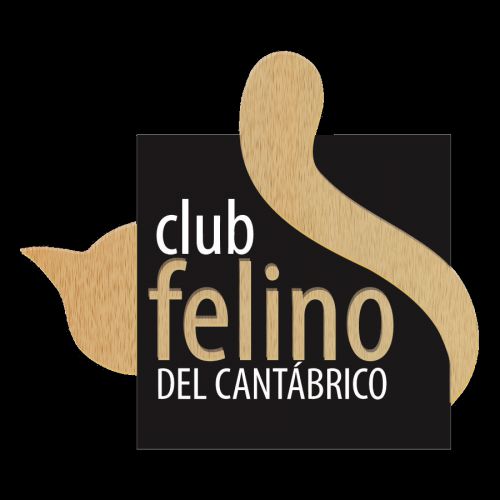 club felino cantábrico